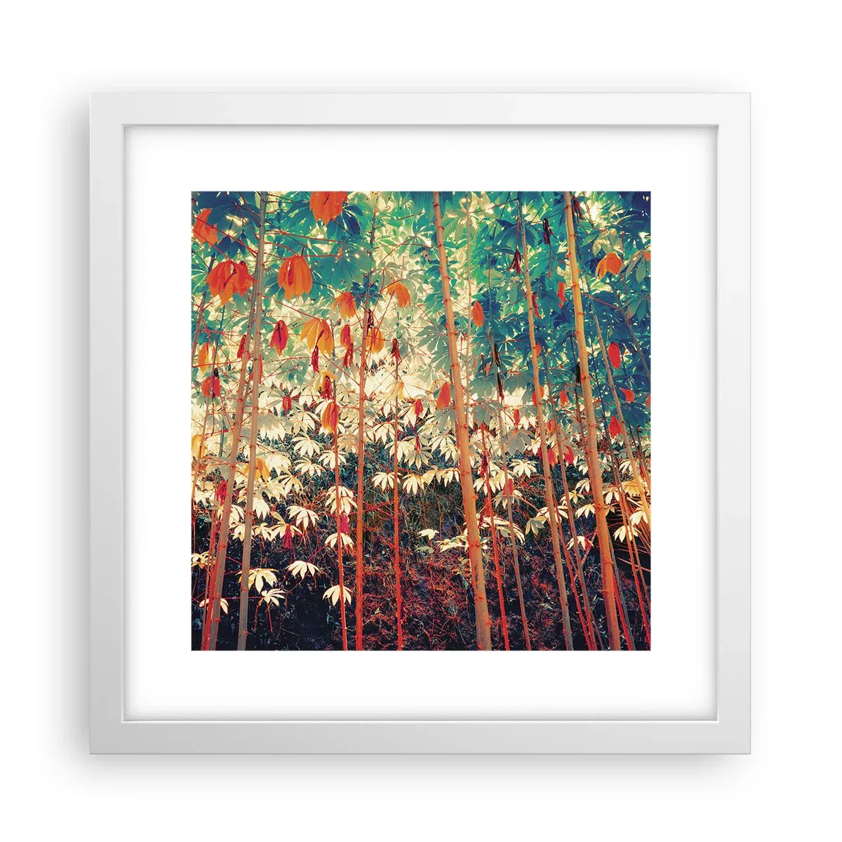 Affiche dans un cadre blanc - Poster - La vie secrète des feuilles - 30x30 cm