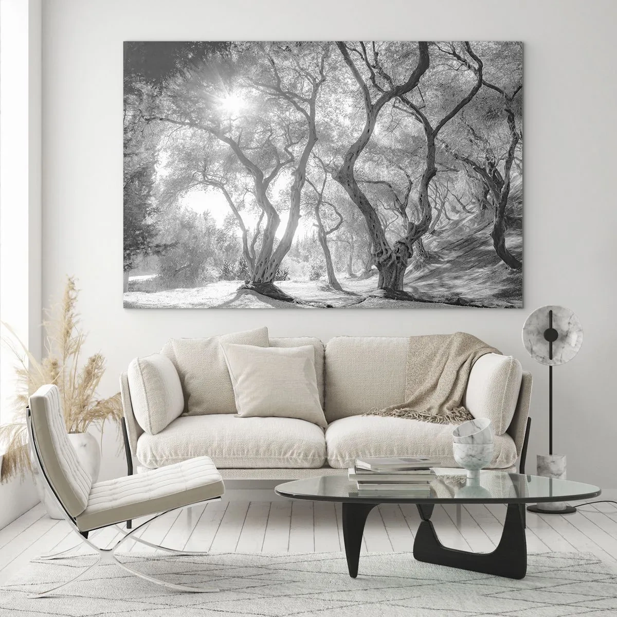 Impression sur verre - Image sur verre - Oliviers noirs et blancs au soleil - 70x50cm - Dans l'oliveraie - Décoration murale moderne pour le salon et la chambre ARTTOR