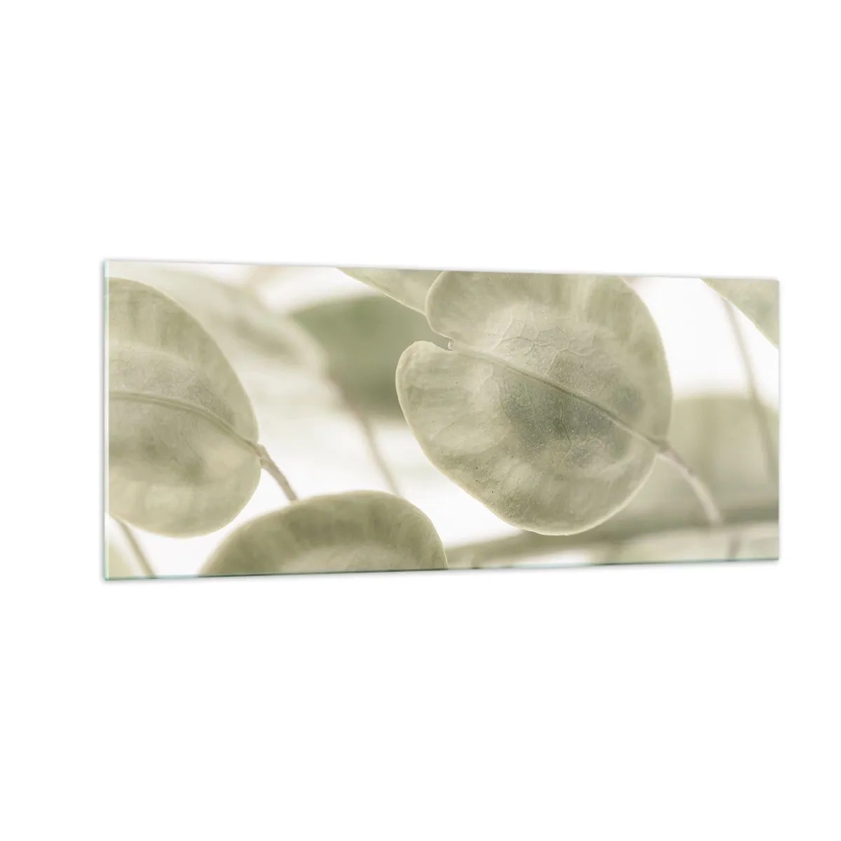 Impression sur verre - Image sur verre - Au commencement il y avait des feuilles... - 100x40 cm