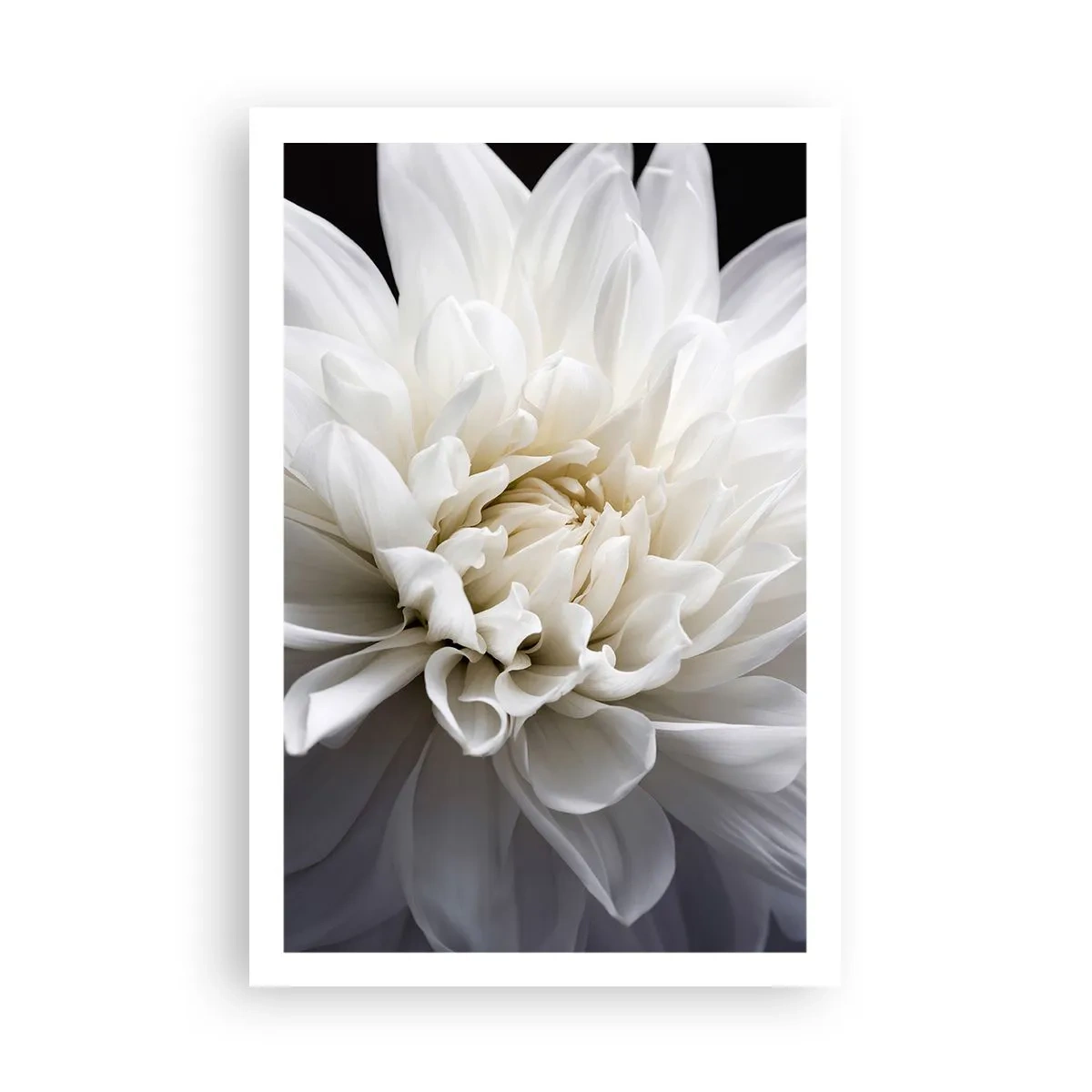 Affiche - Poster - Le matin de la jeune mariéé - 61x91 cm