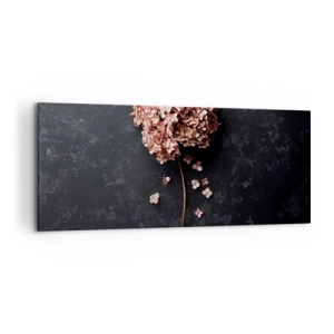 Impression sur toile - Image sur toile - Une délicate fleur d'hortensia sur un fond sombre - 120x50cm - Un signe vraiment romantique - Décoration murale moderne pour le salon et la chambre ARTTOR