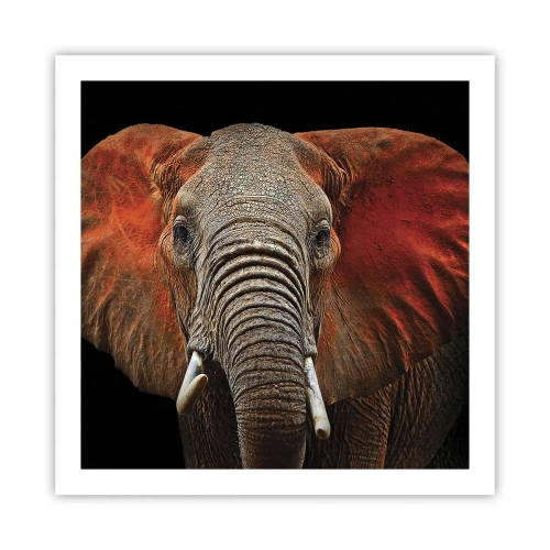 Affiche - Poster - Je suis sauvage, et toi? - 60x60 cm