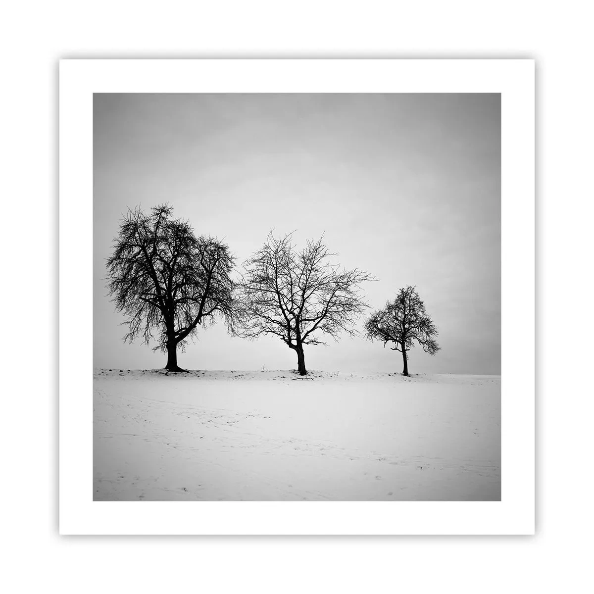 Affiche - Poster - A quoi rêvent-ils? - 50x50 cm