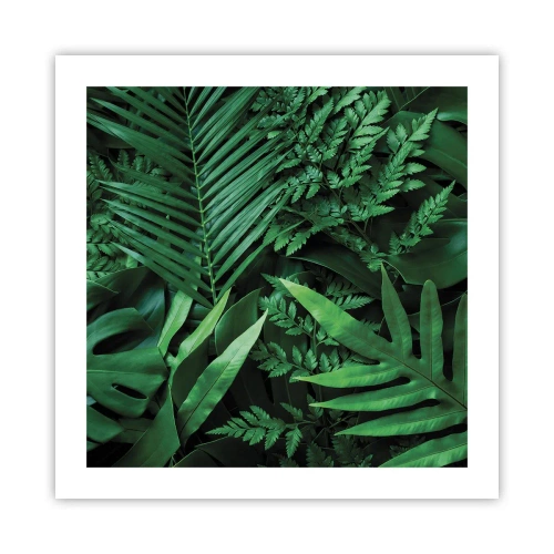 Affiche - Poster - Emmitouflé de verdure - 50x50 cm
