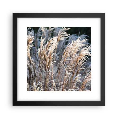 Affiche dans un cadre noir - Poster - Habillé de givre - 30x30 cm