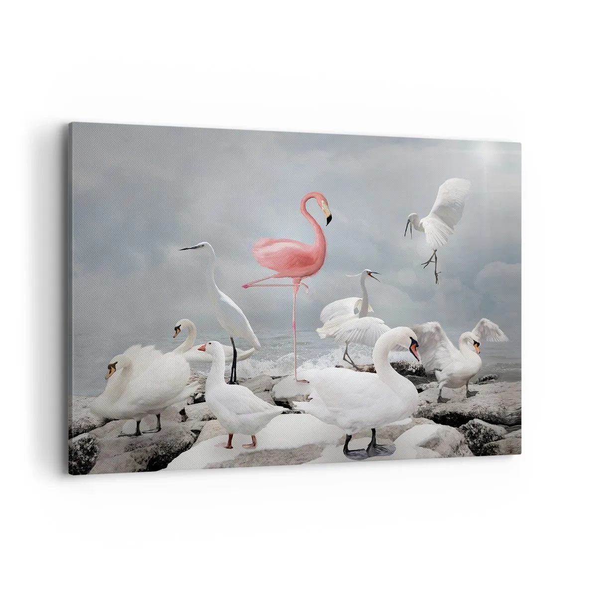 Impression sur toile - Image sur toile - Un flamant rose parmi des cygnes blancs sur fond de lac - 100x70cm - Comment suis-je arrivé là? - Décoration murale moderne pour le salon et la chambre ARTTOR