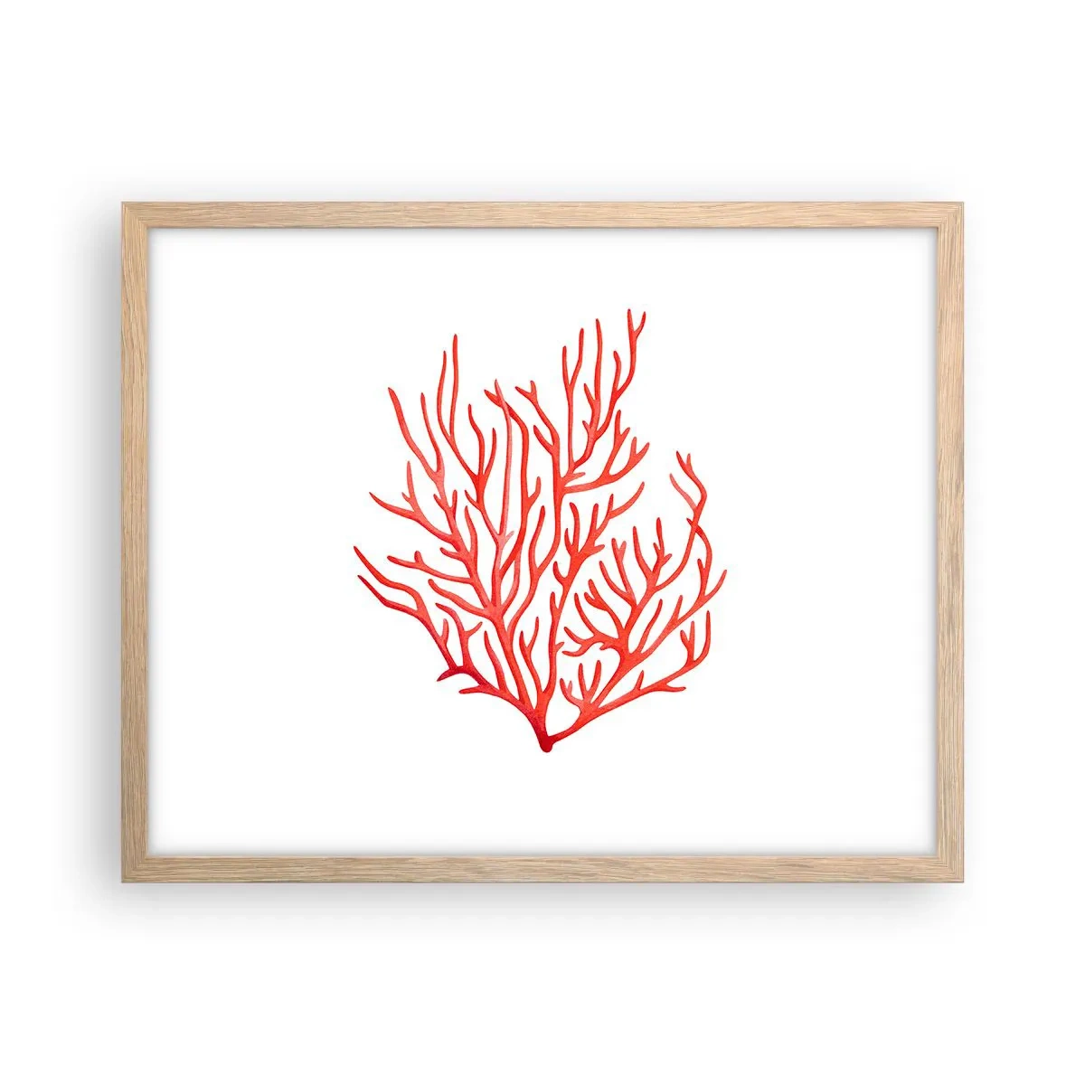 Affiche dans un chêne clair - Poster - Filigrane de corail - 50x40 cm