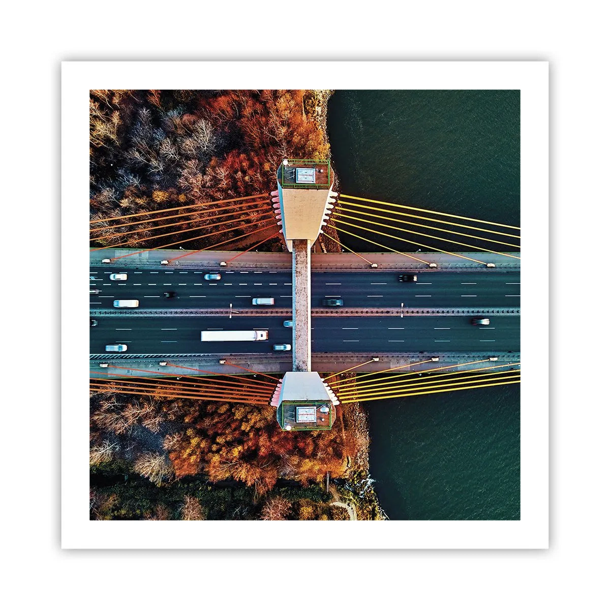 Affiche - Poster - Au dessus de l'eau et de la forêt - 60x60 cm