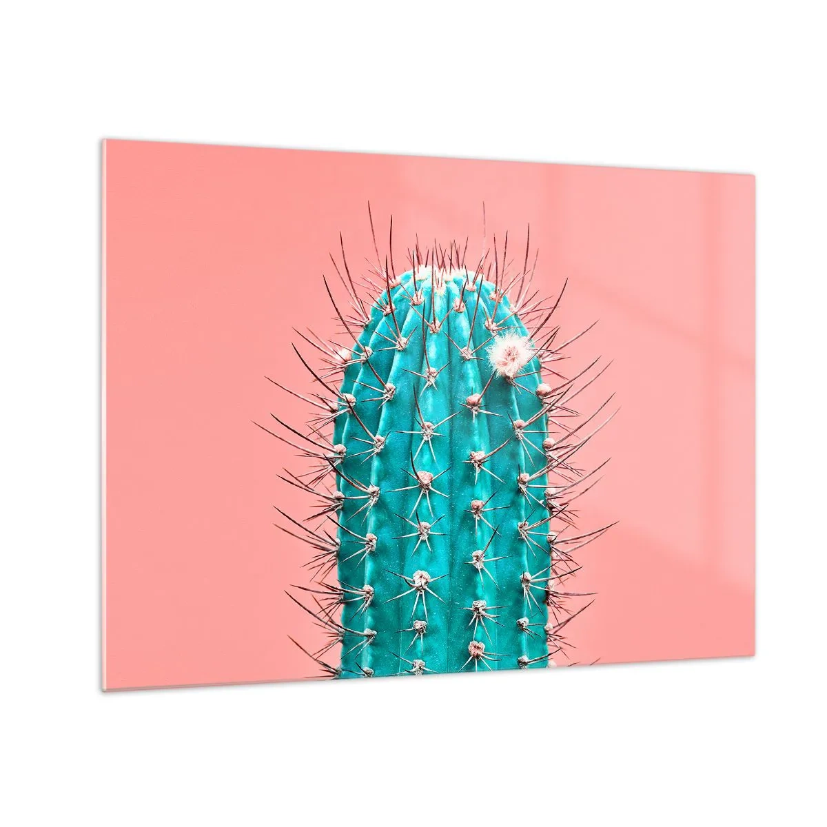 Impression sur verre - Image sur verre - Cactus vert avec des épines sur fond rose - 70x50cm - Juste regarde - Décoration murale moderne pour le salon et la chambre ARTTOR