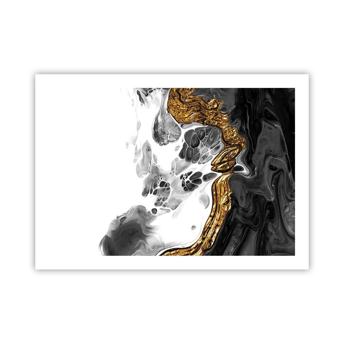 Affiche - Poster - Composition organique - 70x50 cm