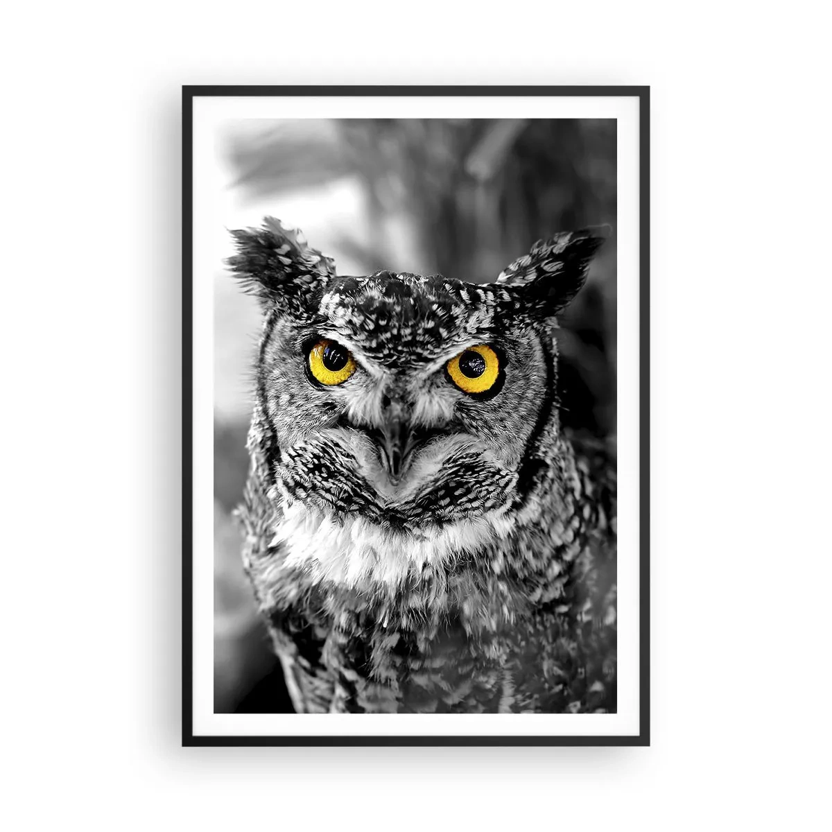 Affiche dans un cadre noir - Poster - Rien ne se cachera - 70x100 cm