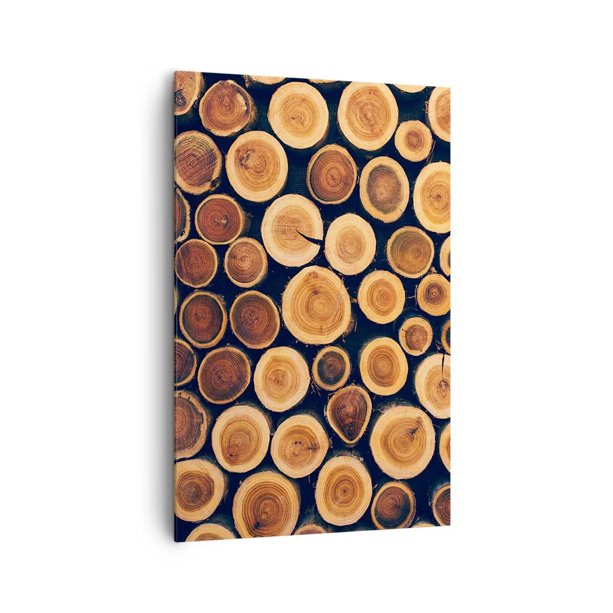 Impression sur toile - Image sur toile - Modèle réalisé à partir de sections transversales de bûches de bois - 80x120cm - Quel âge je semble avoir ? - Décoration murale moderne pour le salon et la chambre ARTTOR