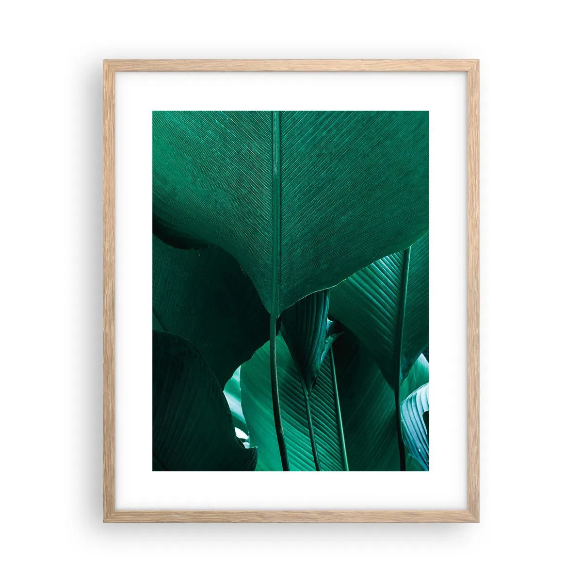 Affiche dans un chêne clair - Poster - Tourné vers la lumière - 40x50 cm