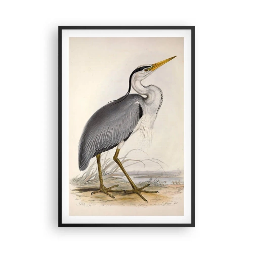 Affiche dans un cadre noir - Poster - Grâce au héron - 61x91 cm