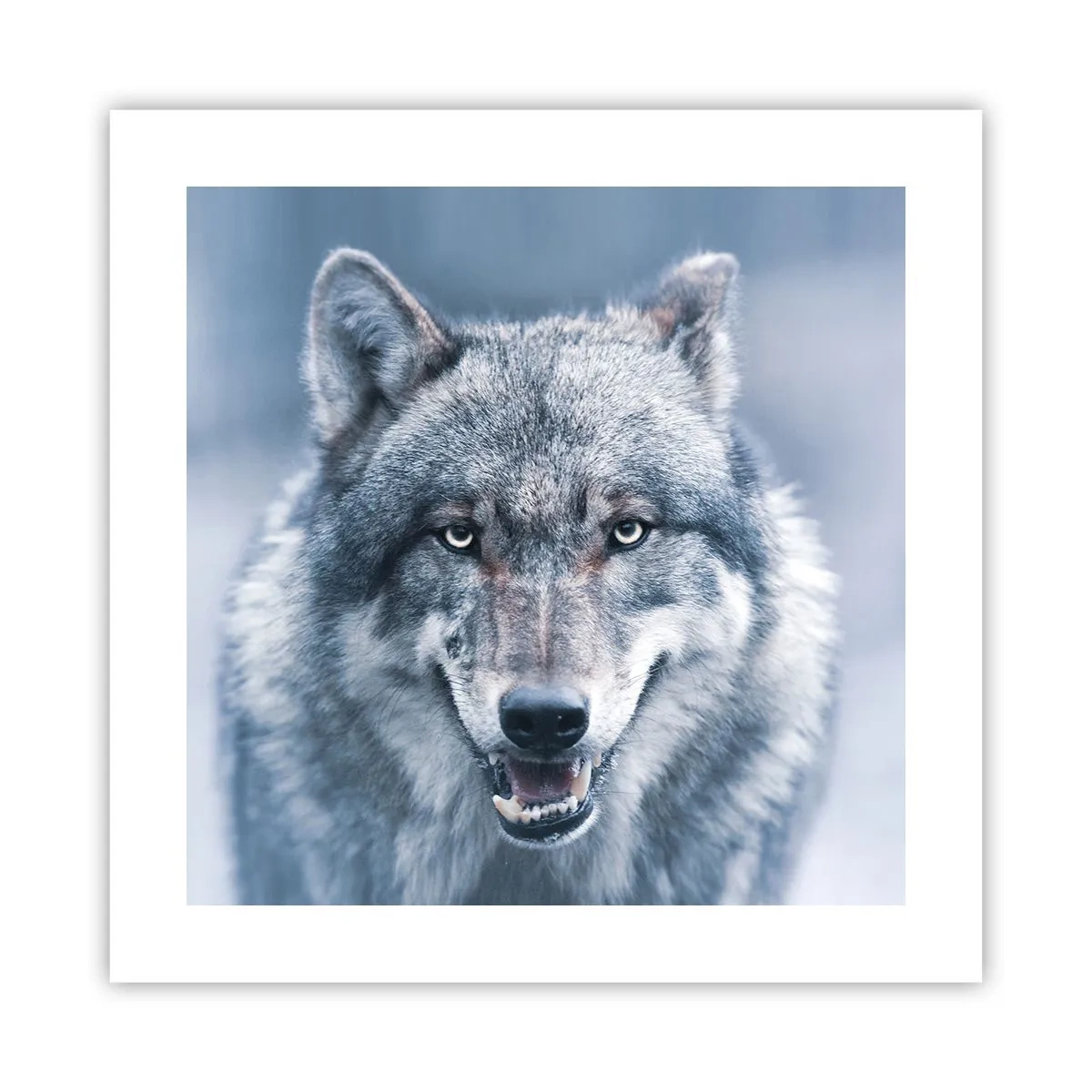 Affiche - Poster - Relèverez-vous le défi ? - 40x40 cm