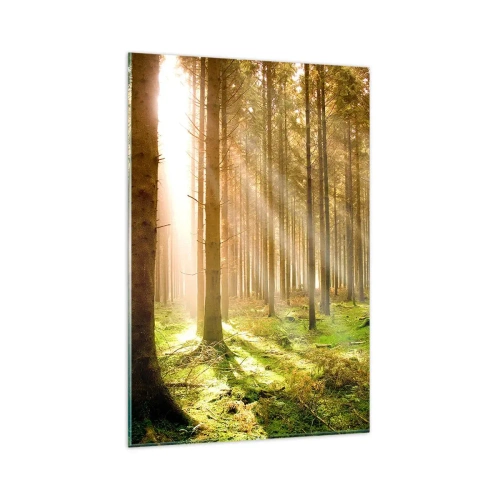 Impression sur verre - Image sur verre - Forêt de conifères avec les rayons du soleil qui brillent à travers les arbres - 80x120cm - Les elfes vont bientôt apparaître - Décoration murale moderne pour le salon et la chambre ARTTOR