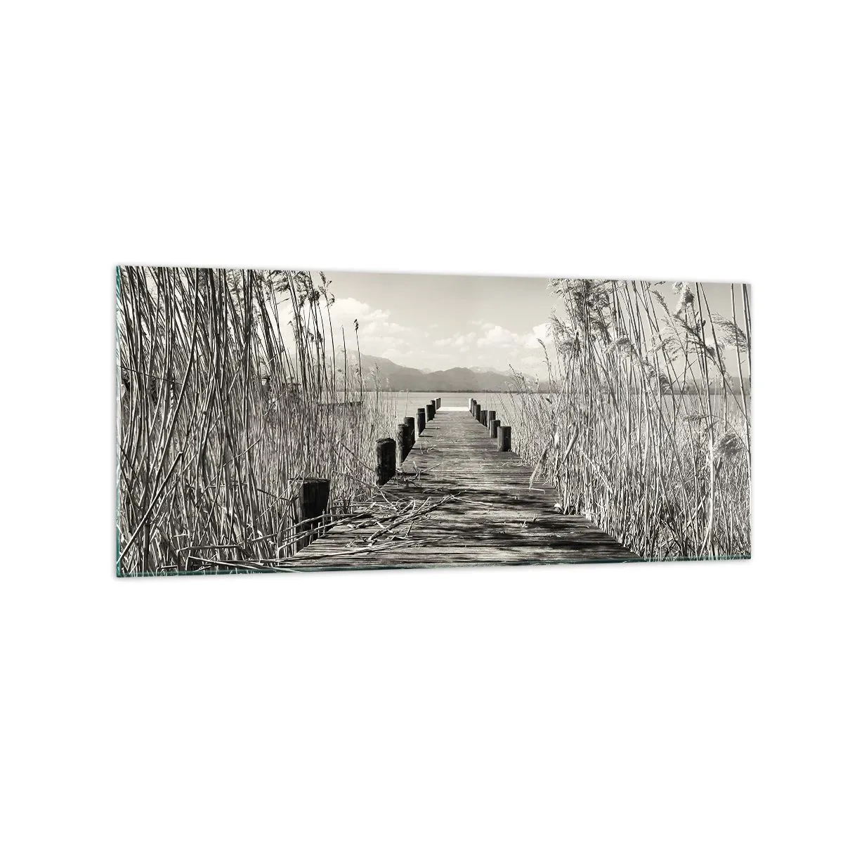 Impression sur verre - Image sur verre - Une jetée en bois parmi les hautes herbes au-dessus d'un lac aux tons sépia - 120x50cm - Dans le calme de l'herbe - Décoration murale moderne pour le salon et la chambre ARTTOR