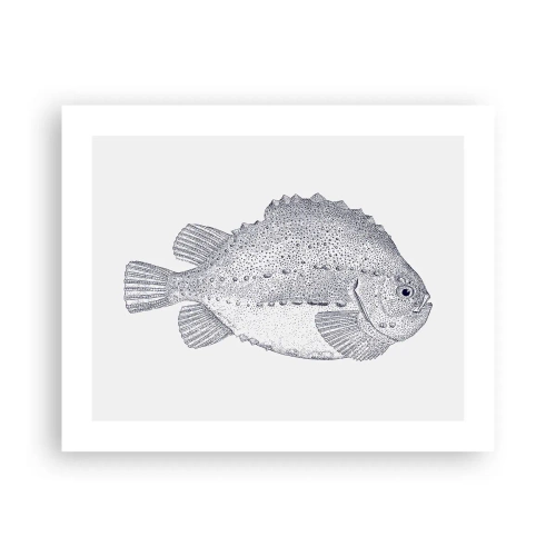 Affiche - Poster - Pour l'album du naturaliste - 50x40 cm