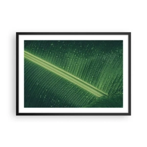 Affiche dans un cadre noir - Poster - Une feuille verte avec des gouttes d'eau à sa surface - 70x50cm - Structure de vert - Décoration murale moderne pour le salon et la chambre ARTTOR