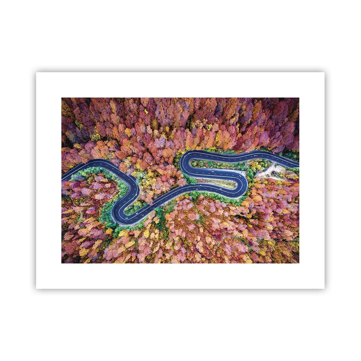 Affiche - Poster - Route sinueuse à travers la forêt - 40x30 cm