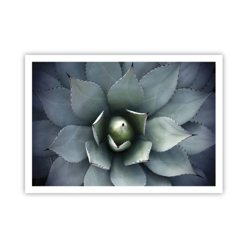 Affiche - Poster - Gros plan d'une rosette d'agave aux délicates nuances de vert - 100x70cm - Wabi et observe - Décoration murale moderne pour le salon et la chambre ARTTOR