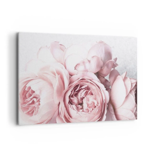 Impression sur toile - Image sur toile - Pivoines roses dans une lumière douce sur un fond clair - 120x80cm - Pour les romantiques - Décoration murale moderne pour le salon et la chambre ARTTOR