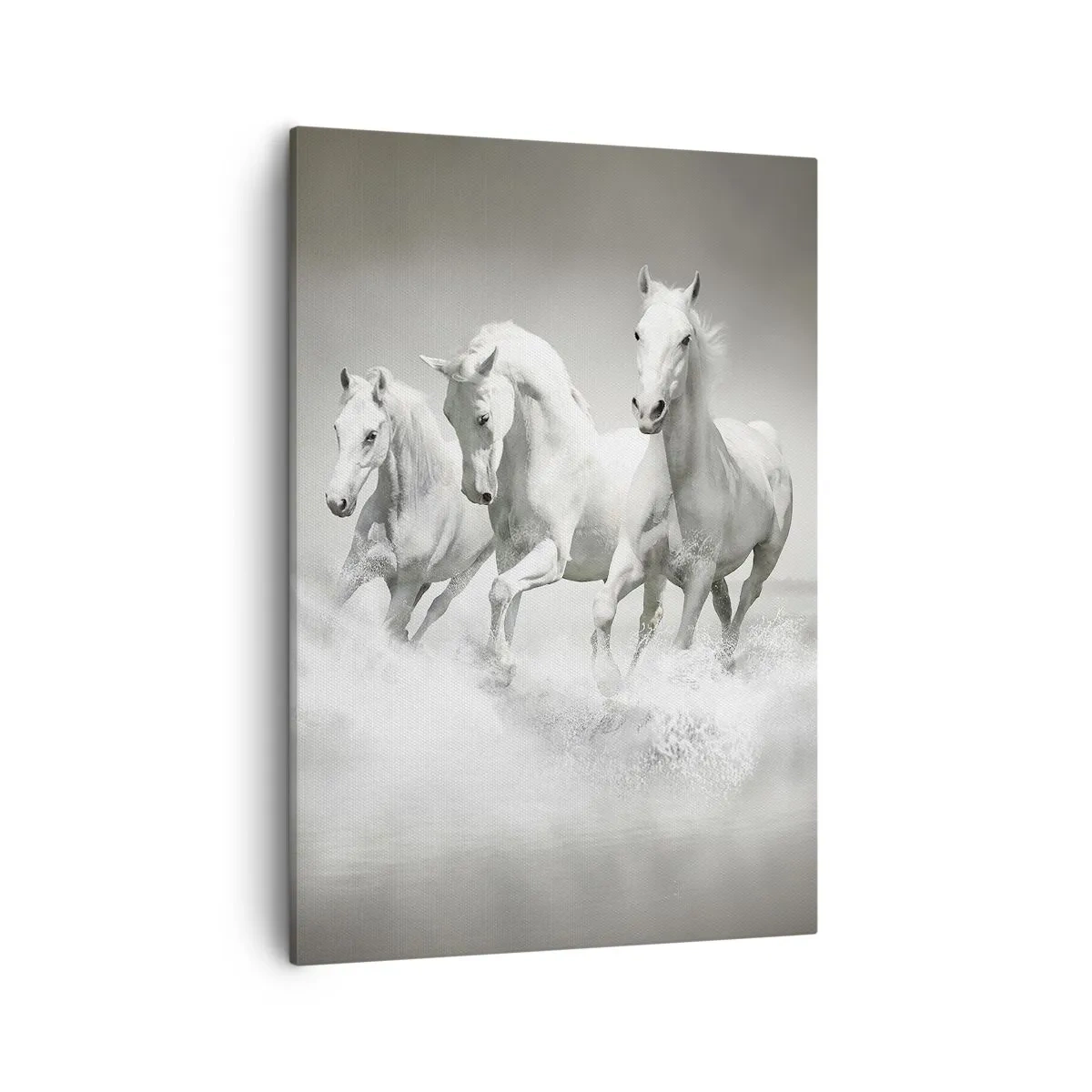 Impression sur toile - Image sur toile - Trois chevaux blancs galopant dans l'eau - 50x70cm - La folie blanche - Décoration murale moderne pour le salon et la chambre ARTTOR