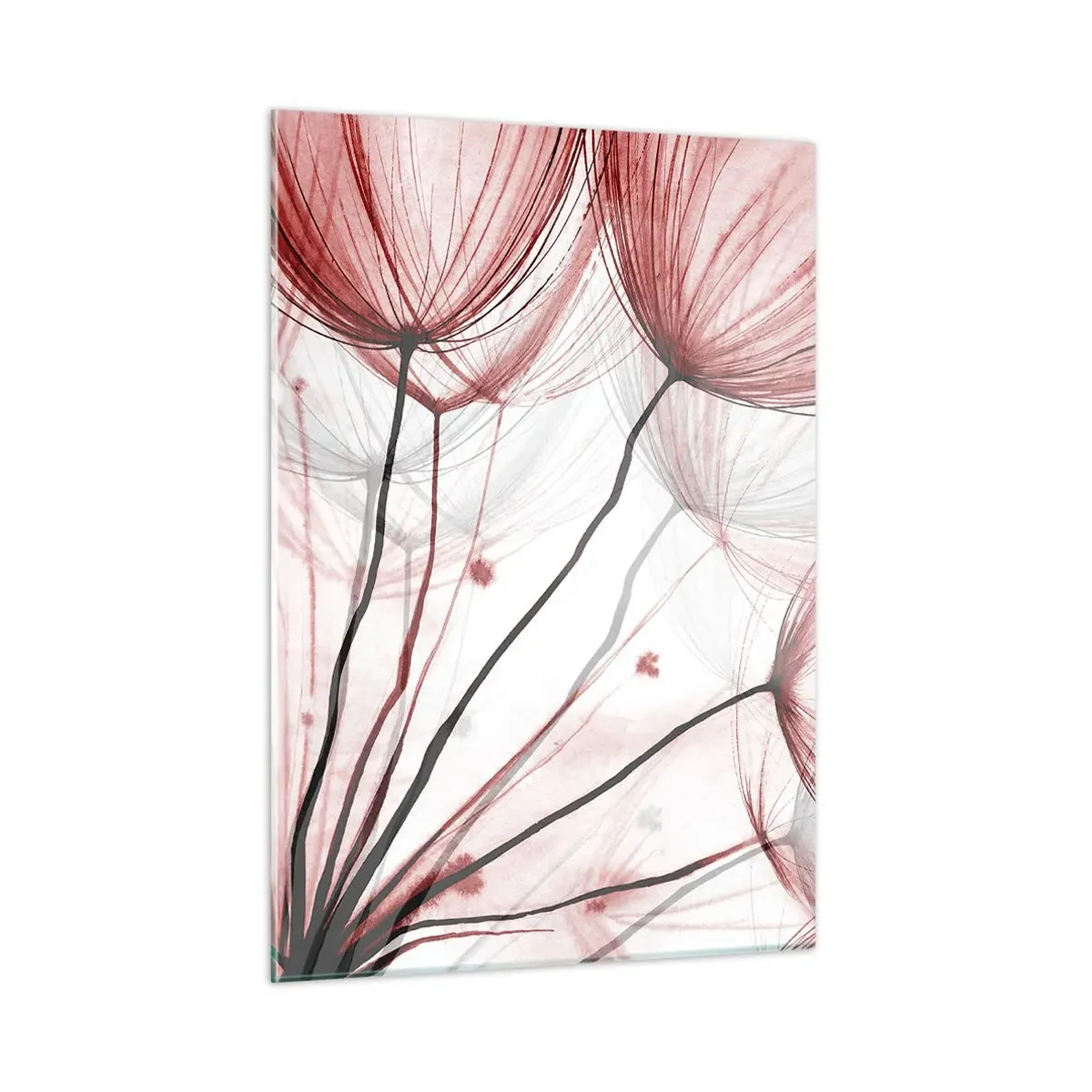 Impression sur verre - Image sur verre - Pissenlits subtils dans des tons de rose et de noir - 50x70cm - Avant le départ - Décoration murale moderne pour le salon et la chambre ARTTOR