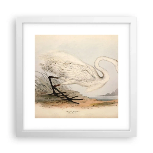 Affiche dans un cadre blanc - Poster - Dame sur les joncs - 30x30 cm