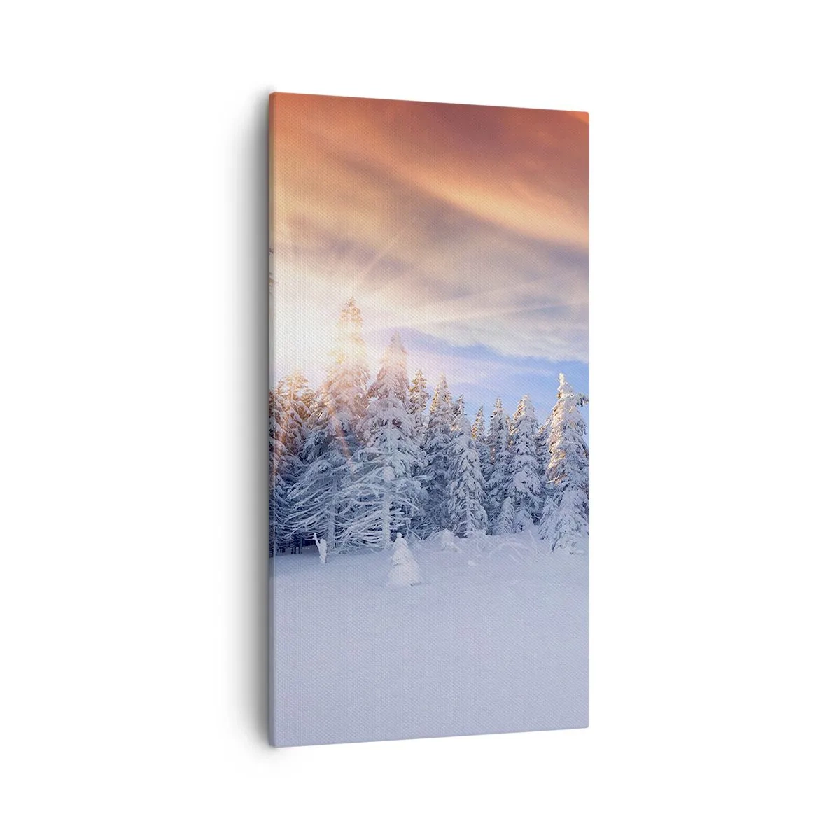 Impression sur toile - Image sur toile - Un spectacle enneigé de la nature - 55x100 cm