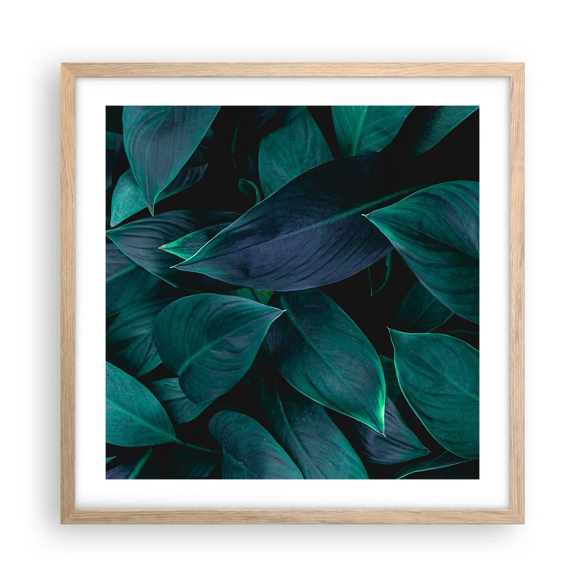 Affiche dans un chêne clair - Poster - le vert lui-même - 50x50 cm