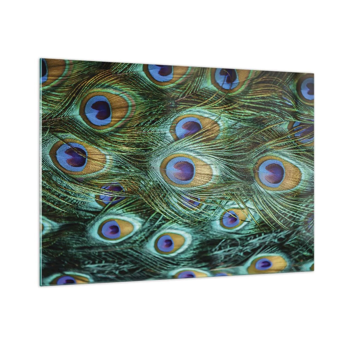 Impression sur verre - Image sur verre - Détail des plumes de paon avec des yeux distincts - 100x70cm - Un regard de paon - Décoration murale moderne pour le salon et la chambre ARTTOR