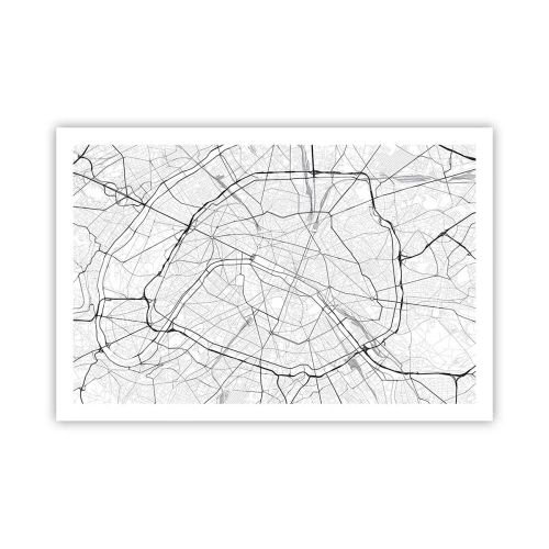 Affiche - Poster - Fleur de Paris - 91x61 cm