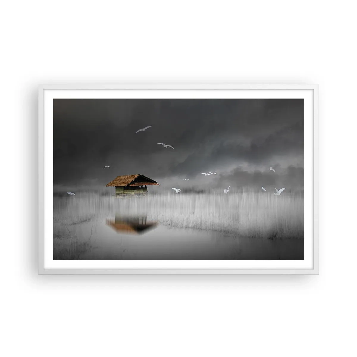 Affiche dans un cadre blanc - Poster - A l'abri de la pluie - 91x61 cm