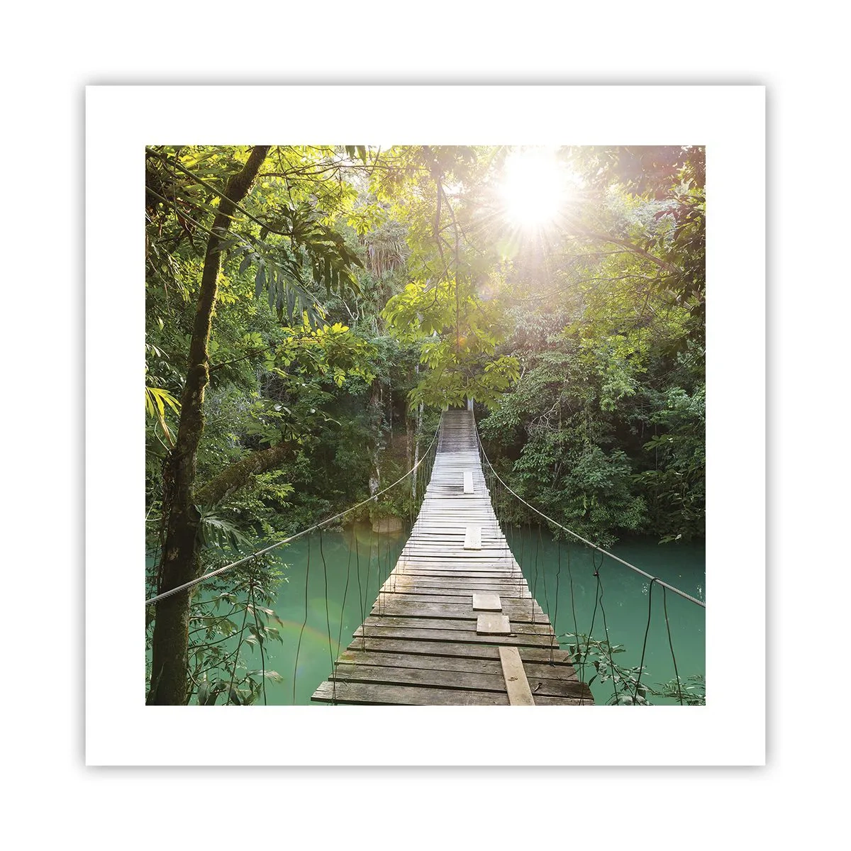 Affiche - Poster - De l'eau azur à la forêt azur - 40x40 cm