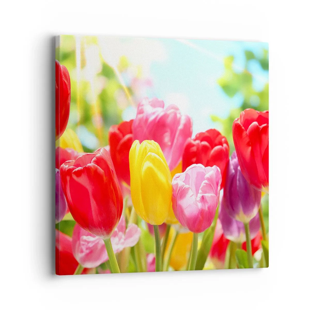 Impression sur toile - Image sur toile - C'est nous, les couleurs de Mai! - 40x40 cm