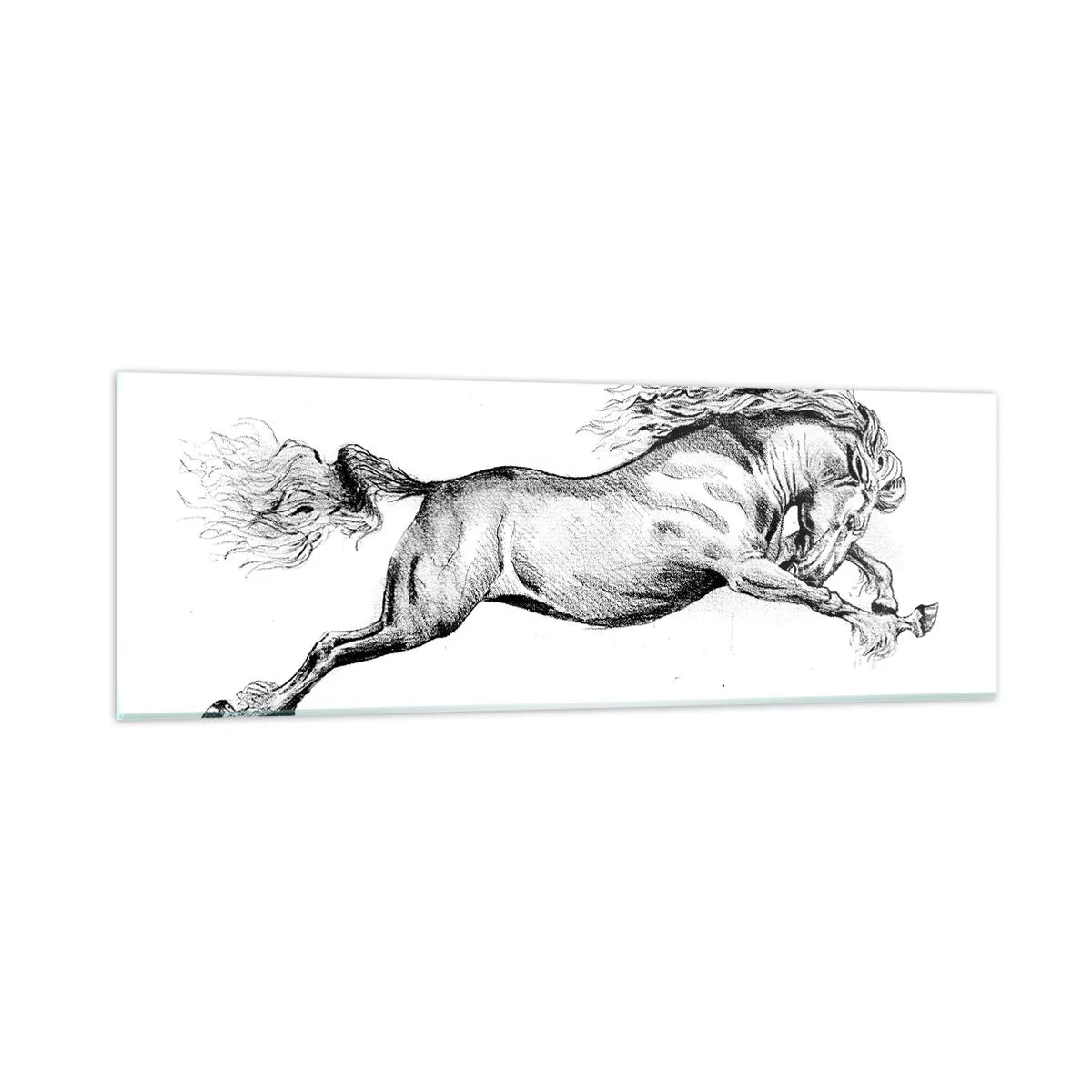Impression sur verre - Image sur verre - Immortalisé au galop - 90x30 cm
