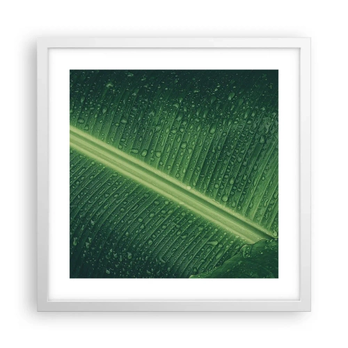 Affiche dans un cadre blanc - Poster - Structure de vert - 40x40 cm