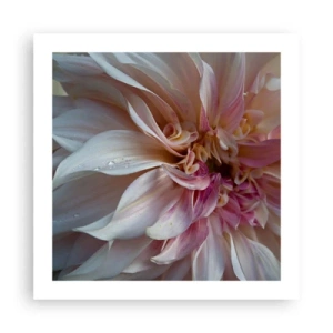 Affiche - Poster - Fraîcheur fleurissante - 50x50 cm