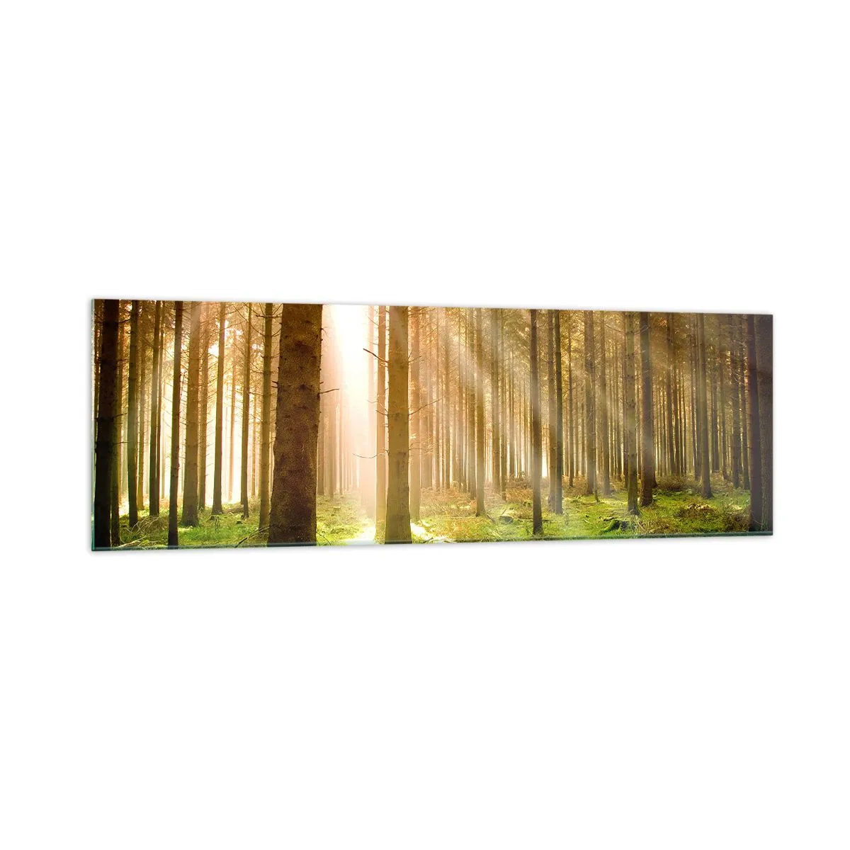 Impression sur verre - Image sur verre - Forêt de conifères avec les rayons du soleil qui brillent à travers les arbres - 160x50cm - Les elfes vont bientôt apparaître - Décoration murale moderne pour le salon et la chambre ARTTOR