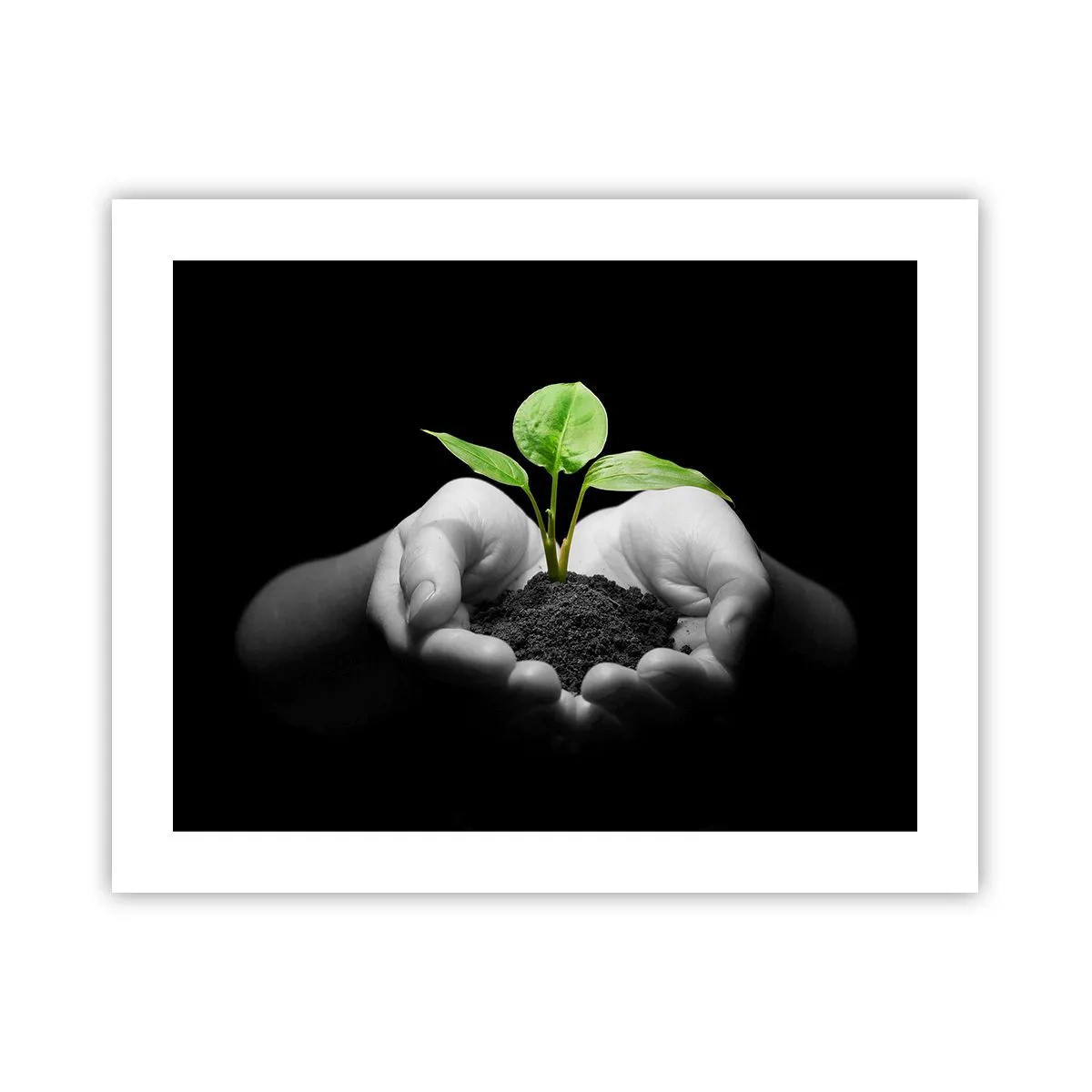 Affiche - Poster - J'aime la nature, je la protège - 50x40 cm