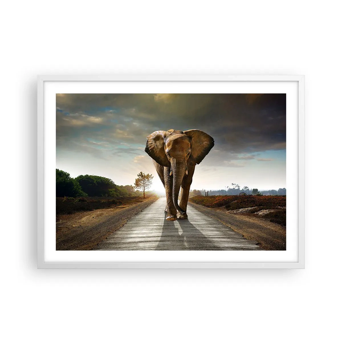 Affiche dans un cadre blanc - Poster - Et pas du tout en porcelaine - 70x50 cm