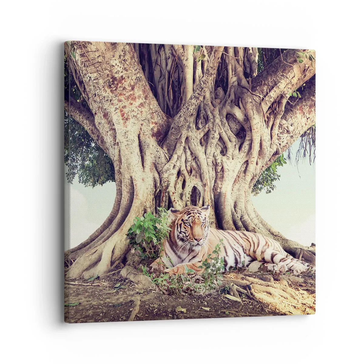 Impression sur toile - Image sur toile - Vue du Livre de la Genèse - 30x30 cm