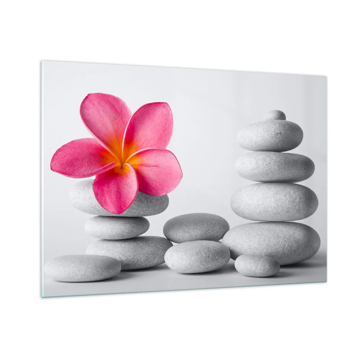 Impression sur verre - Image sur verre - Une fleur rose contre un tas de pierres blanches - 100x70cm - Pierre sur pierre, et sur cette pierre... - Décoration murale moderne pour le salon et la chambre ARTTOR
