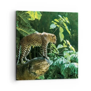 Impression sur toile - Image sur toile - À la chasse? - 70x70 cm