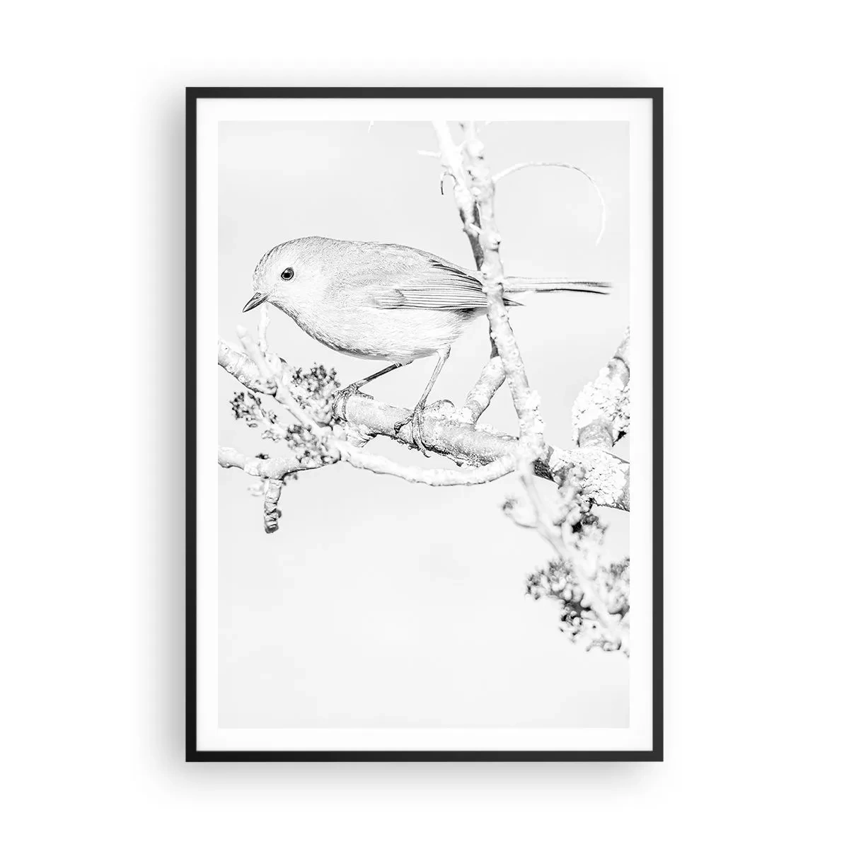 Affiche dans un cadre noir - Poster - Matin d'hiver - 70x100 cm