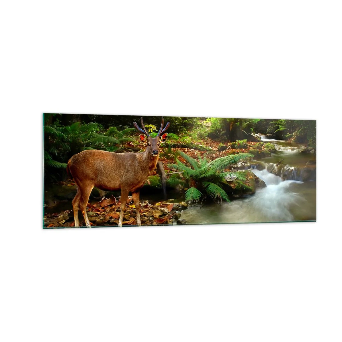 Impression sur verre - Image sur verre - Un cerf près d'un ruisseau entouré de verdure dans la forêt - 140x50cm - Bienvenue dans mon monde - Décoration murale moderne pour le salon et la chambre ARTTOR