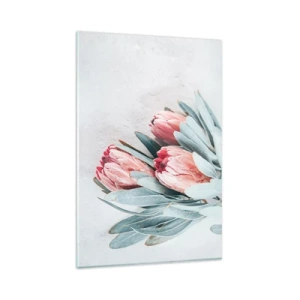Impression sur verre - Image sur verre - Fleurs de protéa roses subtiles sur fond clair - 80x120cm - Honte de leur propre beauté - Décoration murale moderne pour le salon et la chambre ARTTOR