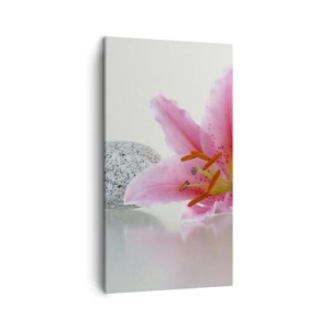 Impression sur toile - Image sur toile - Étude de rose, gris et blanc - 45x80 cm