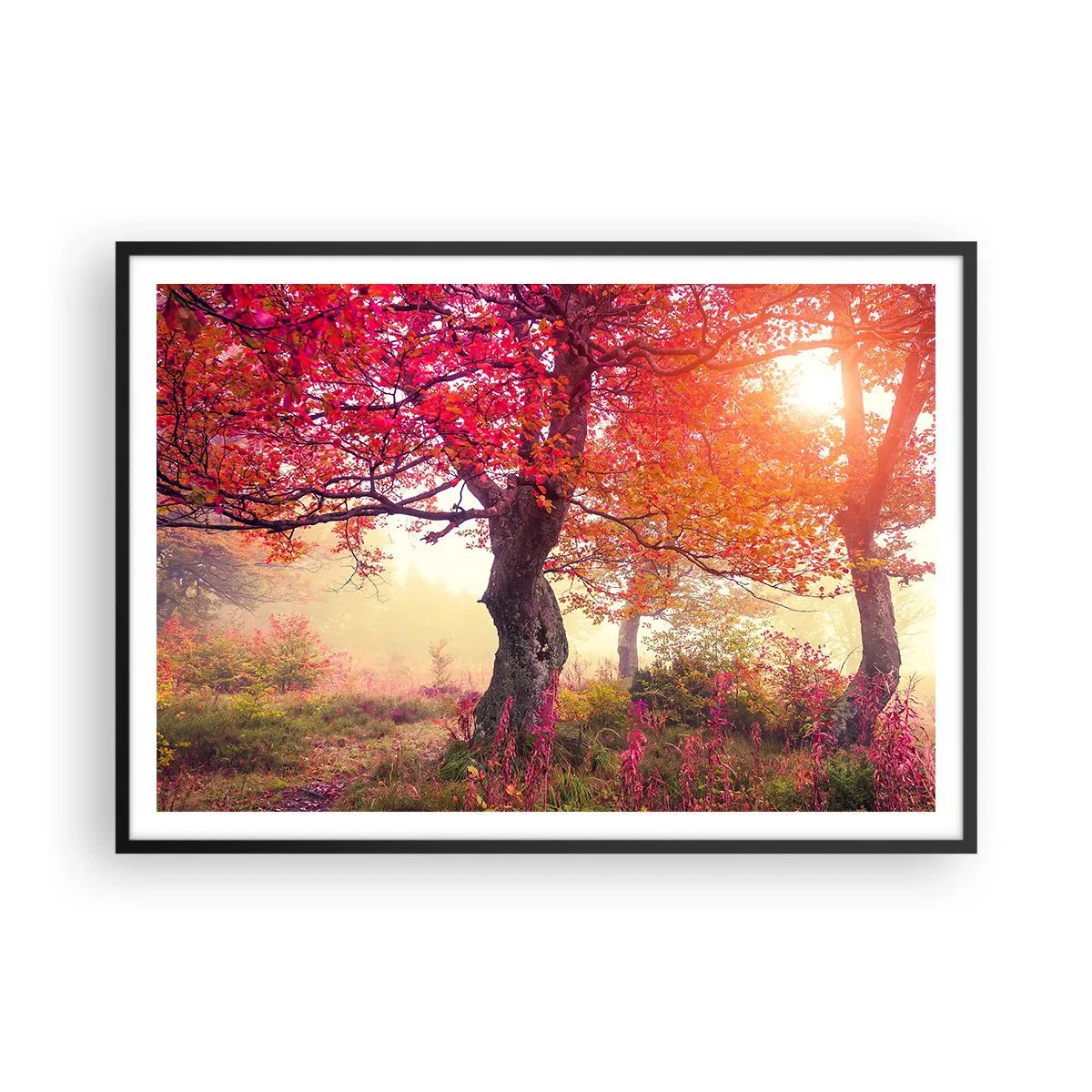 Affiche dans un cadre noir - Poster - Paysage d'automne avec des arbres aux couleurs intenses - 100x70cm - Frénésie de floraison - Décoration murale moderne pour le salon et la chambre ARTTOR